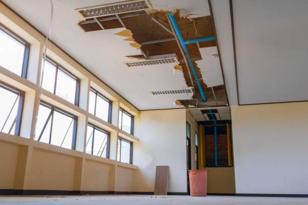 Best 24-hour water damage restoration  in Rossville, TN