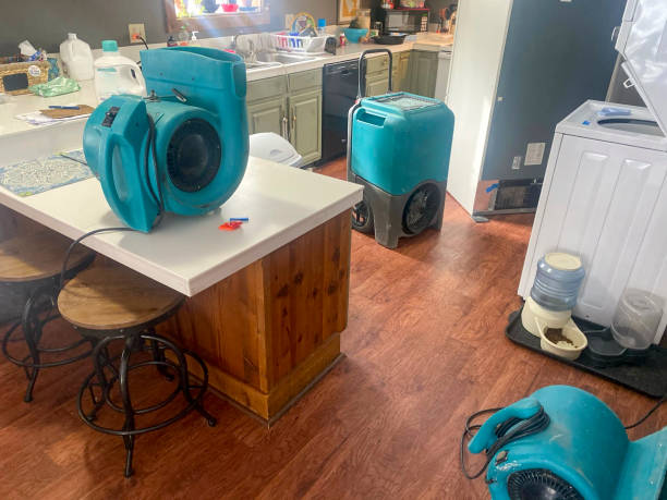 Best Local water damage restoration  in Rossville, TN