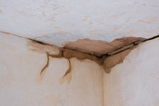 Best Sewage cleanup and water damage restoration  in Rossville, TN
