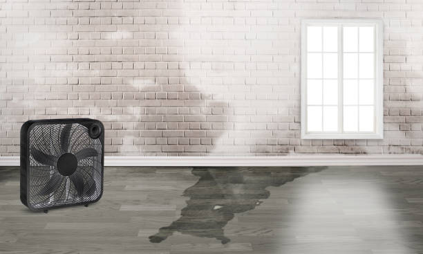 Best Commercial water damage restoration  in Rossville, TN