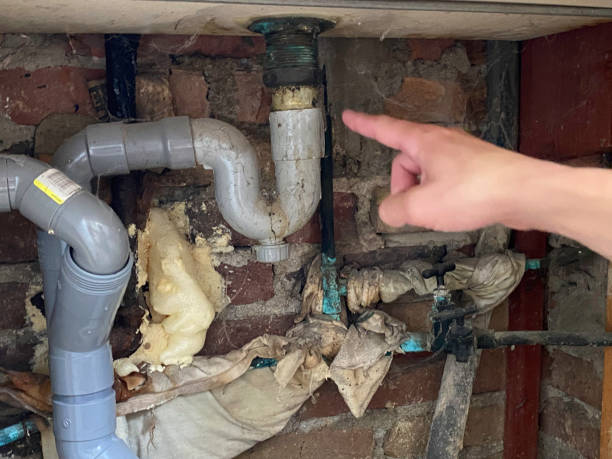 Best Emergency water extraction  in Rossville, TN