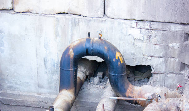 Best Mold removal after water damage  in Rossville, TN