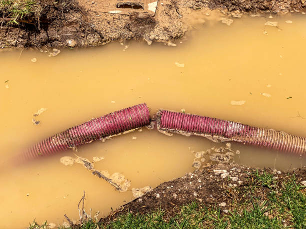 Best Water damage restoration near me  in Rossville, TN