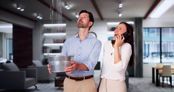 Best Local water damage restoration  in Rossville, TN